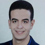 Mostafa Elshafey
